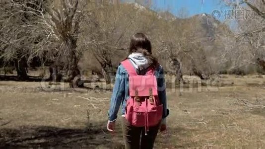 女孩旅行者带着一个粉红色的背包在山脚下的树上行走。视频