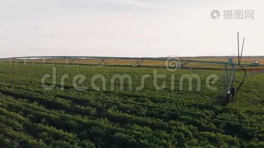 工业农业4K空中视频镜头：夏季农田灌溉。 无人机射击，夏季黎明农业视频