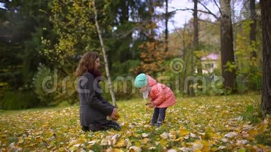 快乐的年轻妈妈和她的小女儿在秋天的公园里玩，妈妈和女孩扔树叶和笑。 慢慢慢慢视频