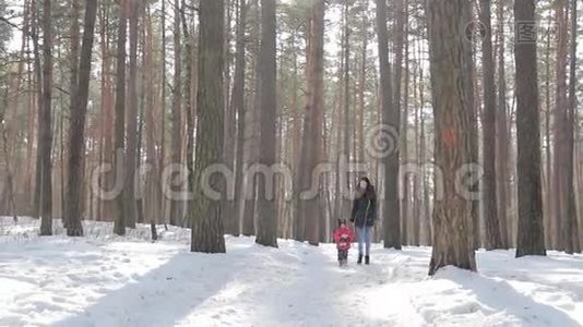 妈妈和她的孩子在雪地森林里视频