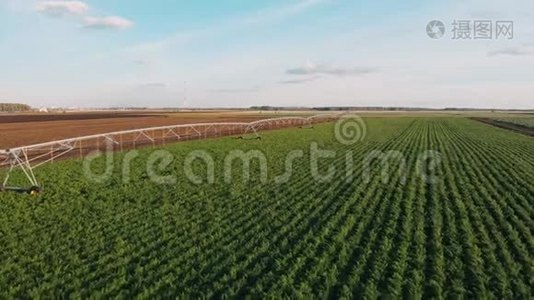 工业农业4K空中视频镜头：夏季农田灌溉。 无人机射击，夏季黎明农业视频