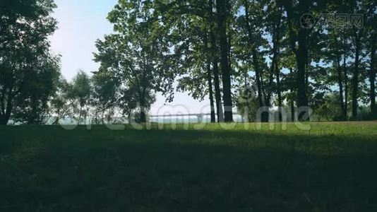 一个运动型男子在公园里跑步，侧视。视频