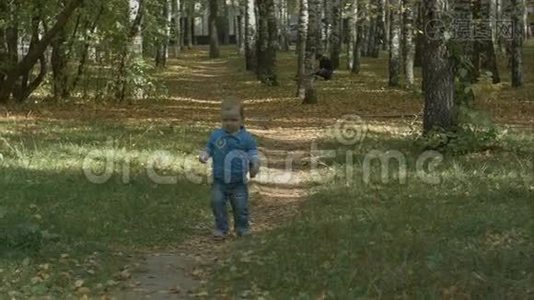 小男孩在秋天公园跑步视频