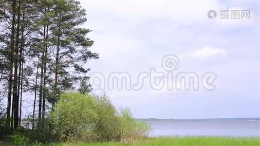 乡村景观。 自然。 湖。视频
