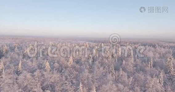在寒冷的一天飞行期间鸟瞰冬季林地。视频
