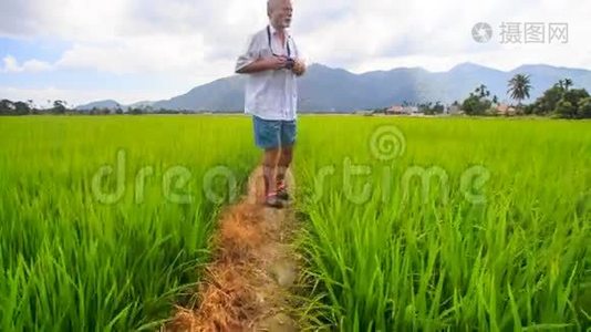 老人照山间稻田景观视频