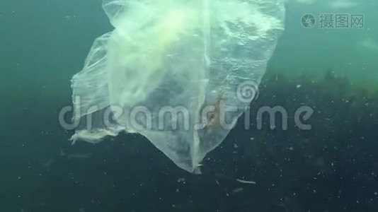 塑料袋在海里，杀虾。 塑料垃圾，污染视频