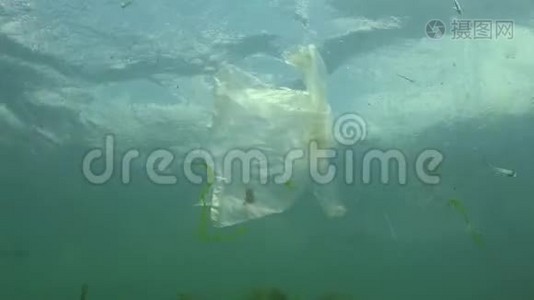 塑料袋在海里，杀虾。 塑料垃圾，污染视频