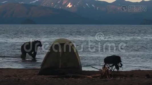 在露营地熊视频