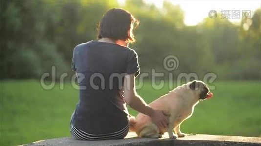 日落时，年轻漂亮的女孩在公园里抚摸她的狗。 女人玩她的狗，狗和主人坐在视频