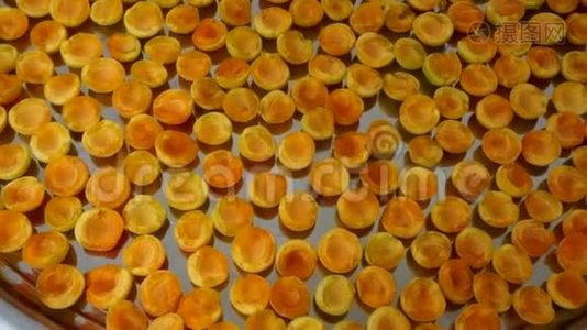 天然杏花在阳光下晾衣，在家晒水果视频