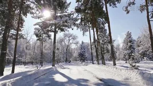 太阳雷斯冬季公园雪视频