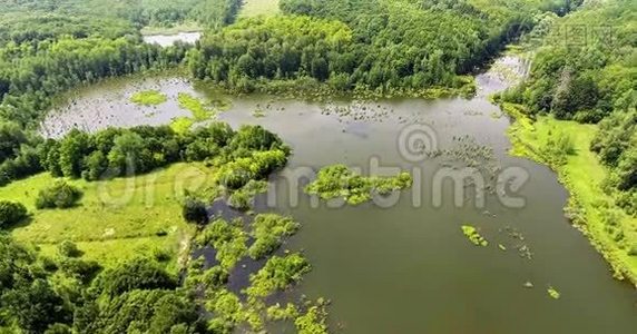 夏季乡村的鸟瞰图.. 飞越一片绿色的田野，一条安静的河流和美丽的绿色森林视频