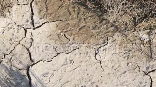 裂缝土壤，全球崇拜效应。视频
