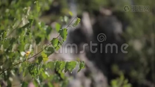 高山瀑布。 快速溪水夏季景观。 瀑布就要接近了。 圣母瀑布视频