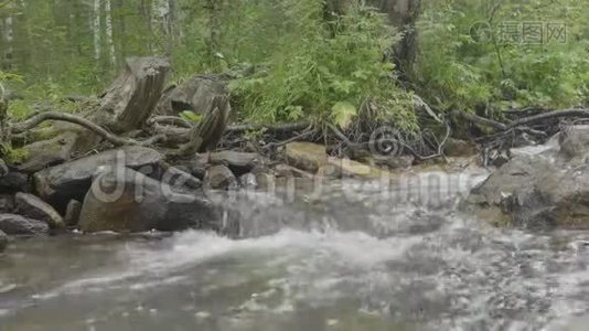 水流通过岩石非常光滑。 秋天的急流。 彩色全木背景。 深山中的河流视频