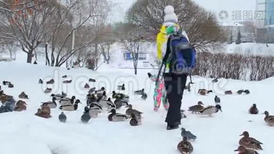 一位母亲和她的孩子正在雪地上喂鸽子和鸭子视频