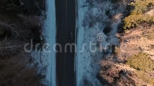 阳光明媚的一天，一辆不知名的越野车在针叶林中沿着沥青路行驶视频