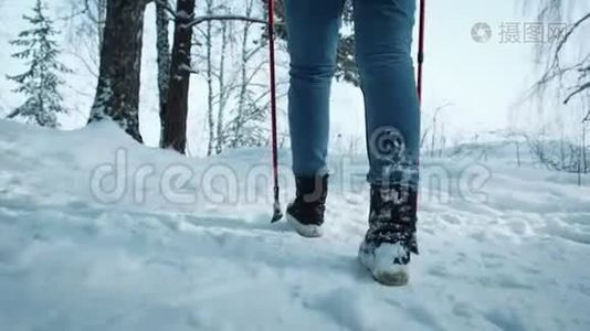 在美丽的冬林里，年轻的女性带着背包徒步旅行。 北欧步行用棍子。视频