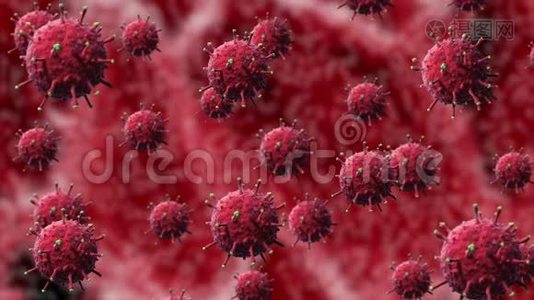 红色细菌或covid-19病毒，细胞在人体器官的红色背景下随机移动和旋转，分离视频