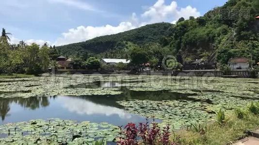 印度尼西亚巴厘岛热带岛屿东部的湖泊景观。视频