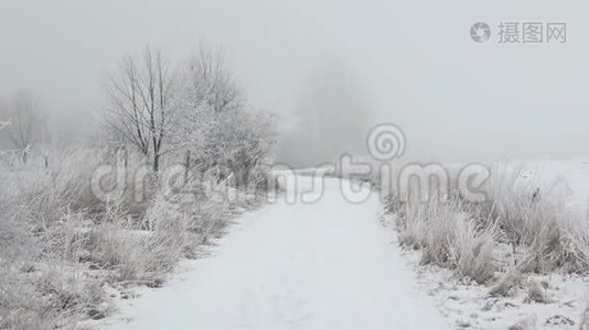 美丽的冬季景观。 冬季风景。视频