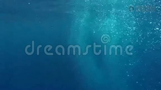 在海洋中发光的气泡视频