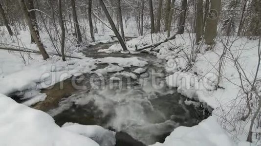 小溪在冬天的雪林中的雪岸。视频