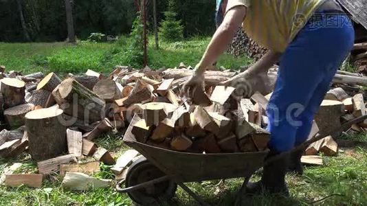 夏天，人们在村里的手推车里砍柴。 4K视频