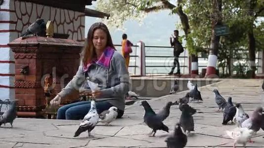 在尼泊尔寺庙喂鸽子的女人视频
