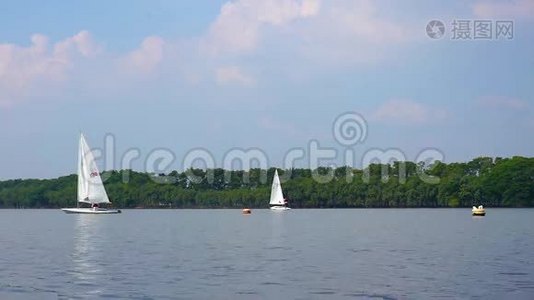 一队帆船漂浮在湖面上。视频