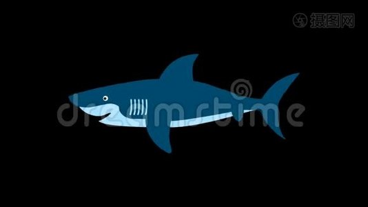 鲨鱼鱼动画旅行冒险图标线绘图动画透明矢量运动图形循环视频