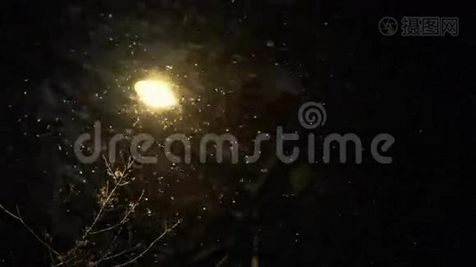 可怕的暴雪在夜晚视频