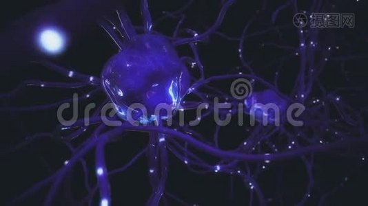 人神经元/神经网络，有放电突触。视频