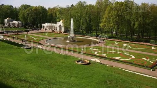 喷泉与雕像在彼得霍夫宫建筑群。 俄罗斯圣彼得堡地区。 02.06. 2017视频