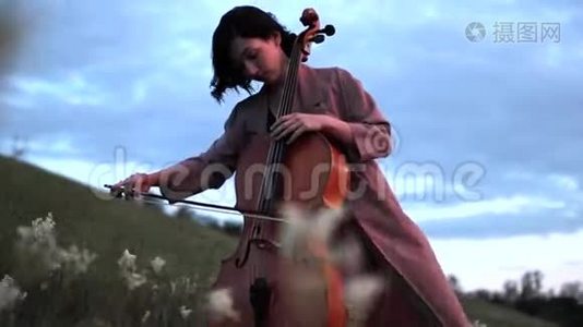 女大提琴手在黄昏时分在草地上演奏大提琴。视频