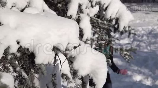 雪树附近的女孩视频