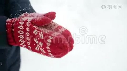 穿着红手套的女孩摇雪视频