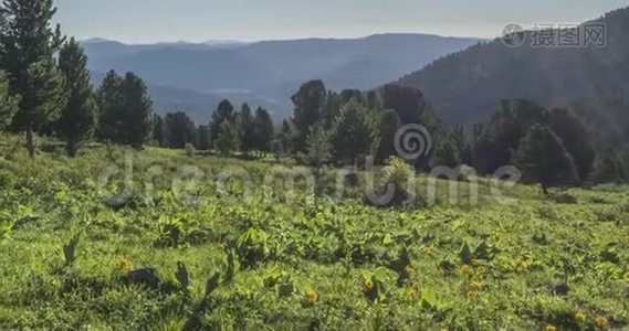 山地草甸时间推移。 野的自然和田园.. 云，树，绿草和太阳光的运动.. 相机动作。视频