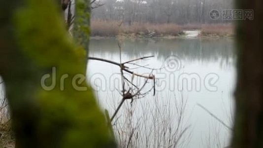 秋天的自然景观，漫步在森林湖岸，稳重视频