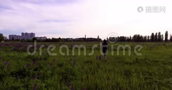 女孩正走在田野里，在羽扇豆花丛中视频