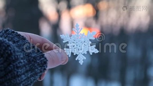 冬天的概念，手牵着雪花在夕阳下的冬林视频