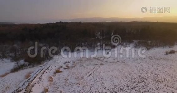 空中观景。 冬季森林景观。 美丽的自然，日落的黄昏视频