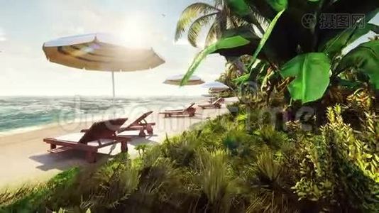 热带岛屿上的棕榈树，在阳光明媚的日子里，带着异国情调的白色海滩，蓝天。 美丽的夏天。视频