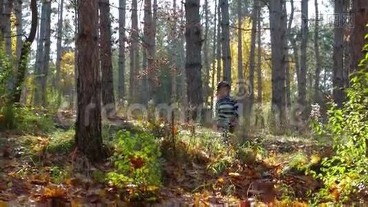快乐的孩子在秋天的森林里奔跑视频