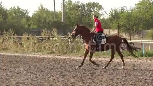 年轻女子骑着一匹豪华的棕色马。视频