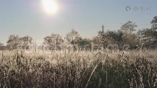 雪中枯草.. 一片片干草笼罩在雪花中。视频