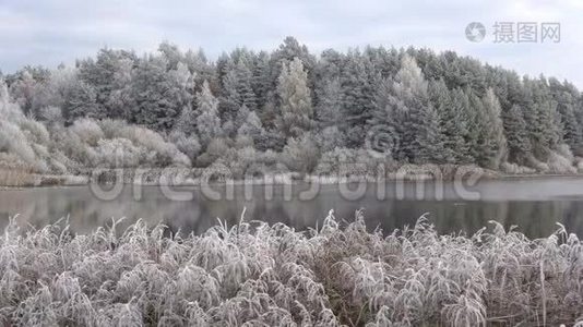 十月池塘上的霜冻。 普斯科夫州布格罗沃视频