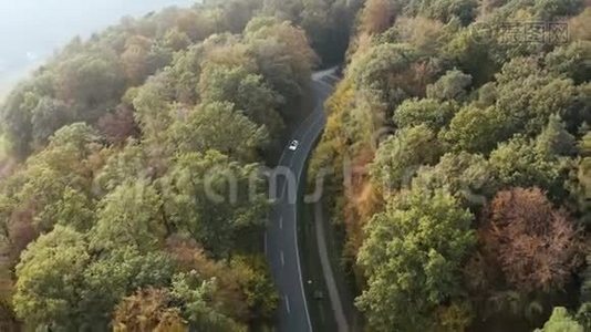 从空中俯瞰森林中央的一条道路，向外放大视频