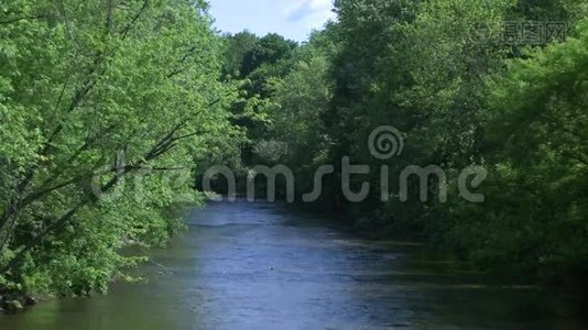 美丽的河流穿过绿色植物（7分之3）视频